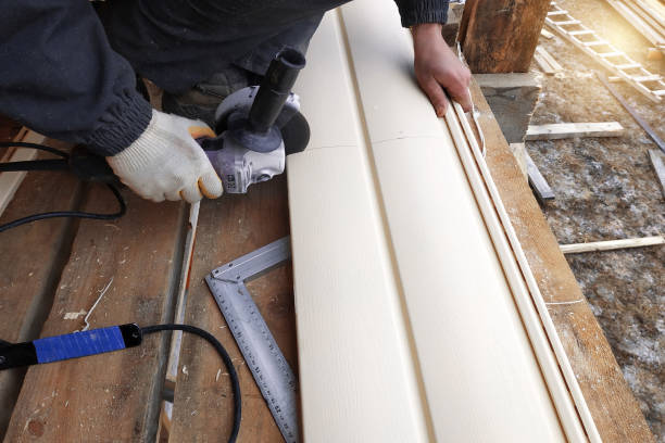 Best Insulated Siding Installation  in Roberts, WI